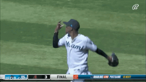Man In Miami Jersey GIF
