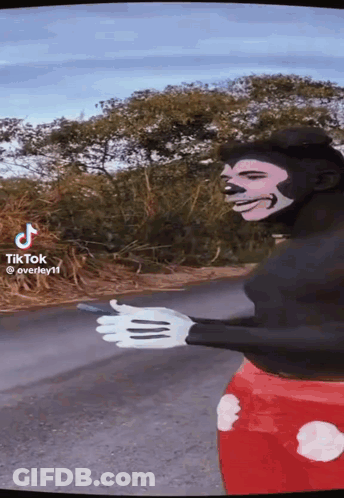 Man In Mickey Mouse Costume GIF