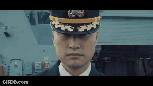 Man In Military Hat With Leaves GIF