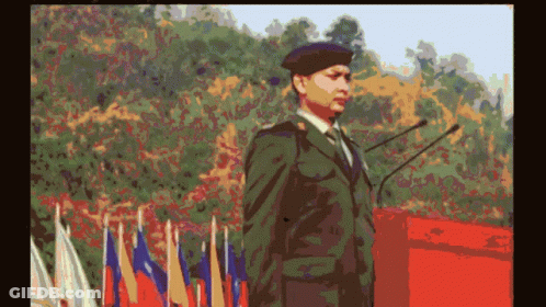 Man In Military Uniform At Podium With Flags GIF