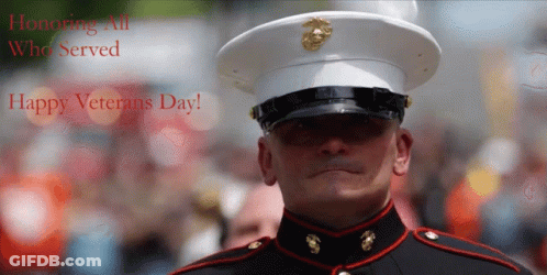 Man In Military Uniform Honoring Veterans Day GIF