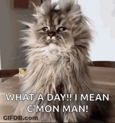 Man In Military Uniform Nothing To Do Until Something To Do GIF