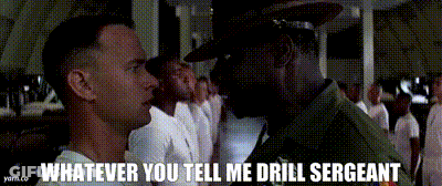 Man In Military Uniform Says Whatever You Tell Me Drill Sergeant GIF