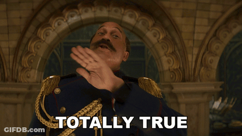 Man In Military Uniform Totally True GIF