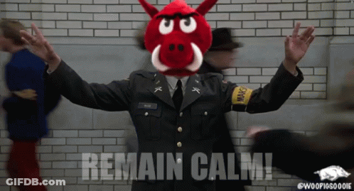 Man In Military Uniform With Red Boar Mask Saying Remain Calm GIF