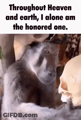 Man In Necklace And Blue Shirt Making A Face GIF
