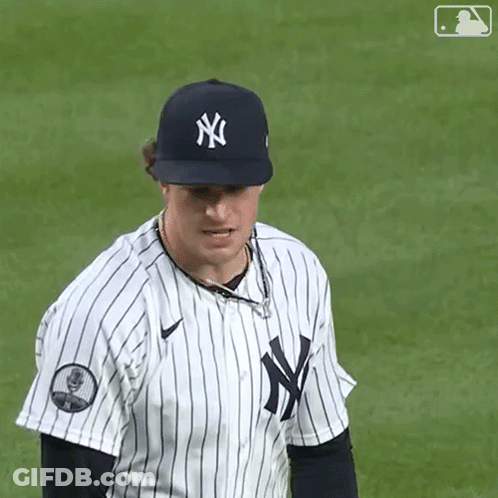 Man In New York Yankees Jersey And Hat GIF