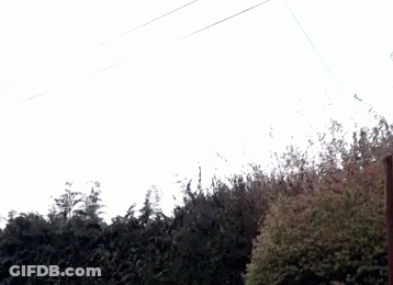 Man In Nike Shirt With Letter S In Crowd GIF