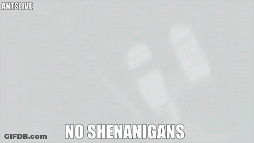 Man In North Face Jacket With No Shenanigans Sign GIF
