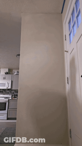 Man In Number 1 Jersey And Hat GIF