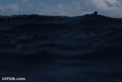 Man In Ocean Kepler GIF