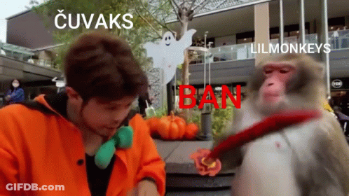 Man In Orange Jacket Next To Monkey With Ban GIF