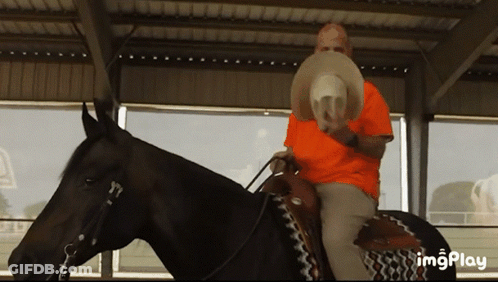 Man In Orange Shirt Riding Black Horse GIF