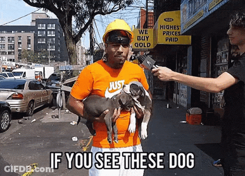 Man In Orange Shirt Saying Just Holds Two Dogs GIF