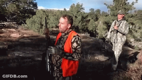 Man In Orange Vest Holding Gun In Field GIF