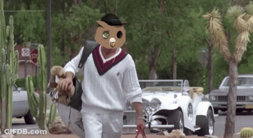 Man In Owl Mask Walking Down Street GIF