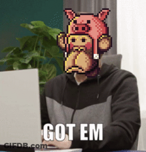 Man In Pig Hat Sitting At Laptop Saying Got Em GIF
