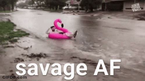 Man In Pink Flamingo Float GIF