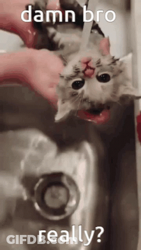 Man In Pink Fur Coat Giving Thumbs Up GIF