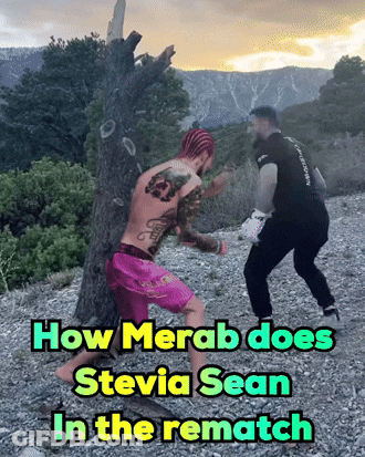 Man In Pink Shorts Beside Tree With How Merab Does Stevia Sean In The Rematch GIF
