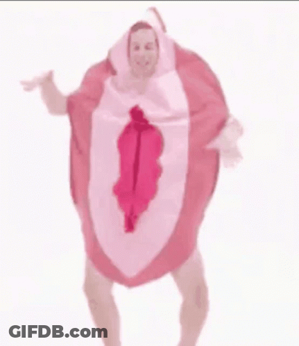 Man In Pink Vagina Costume GIF