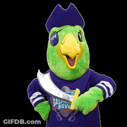 Man In Pirate Parrot Costume Holding Sword GIF