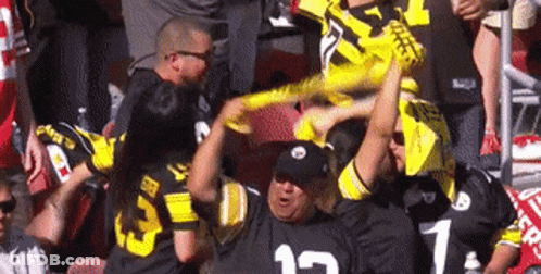 Man In Pittsburgh Steelers Jersey Holding Yellow Flag GIF