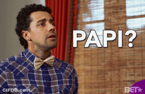 Man In Plaid Shirt And Bow Tie Asking Papi GIF