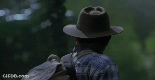 Man In Plaid Shirt And Hat Walking In Forest With Dinosaurs GIF