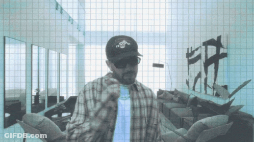 Man In Plaid Shirt And Miami Heat Hat GIF