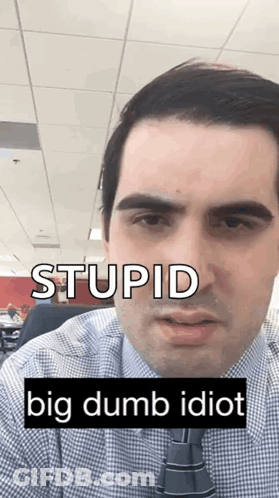 Man In Plaid Shirt And Tie Saying Stupid Big Dumb Idiot GIF