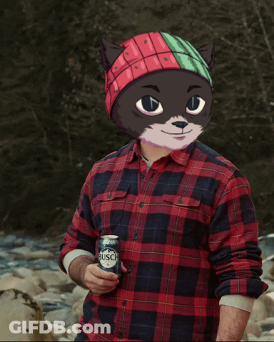 Man In Plaid Shirt Holding Busch Can GIF