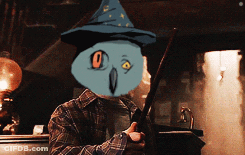 Man In Plaid Shirt Holding Wand With Owl On Face GIF