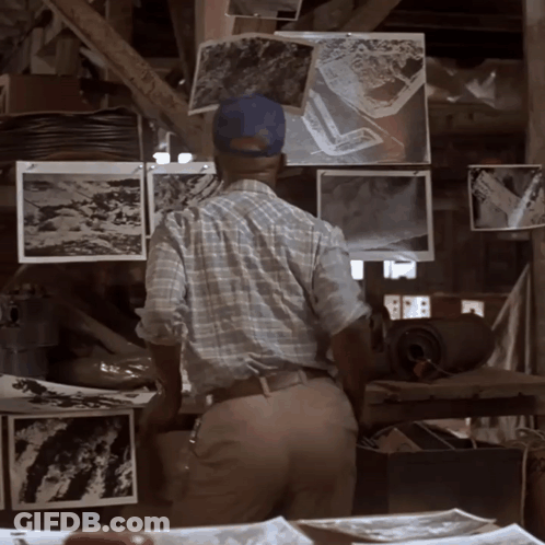 Man In Plaid Shirt Looking At Pictures GIF