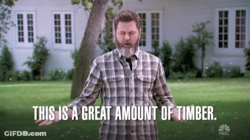 Man In Plaid Shirt Saying Great Amount Of Timber GIF
