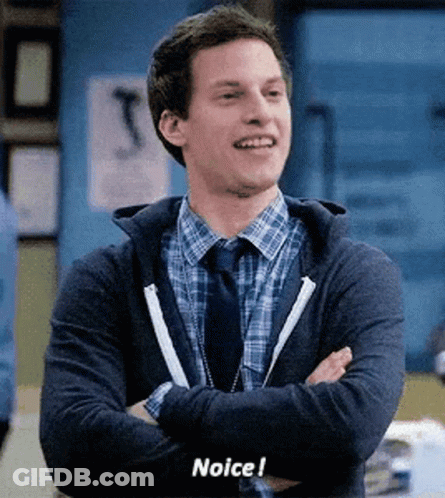 Man In Plaid Shirt Saying Noice With Arms Crossed GIF