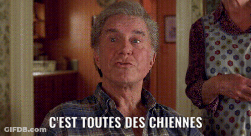 Man In Plaid Shirt Says C'est Toutes Des Chiennes GIF