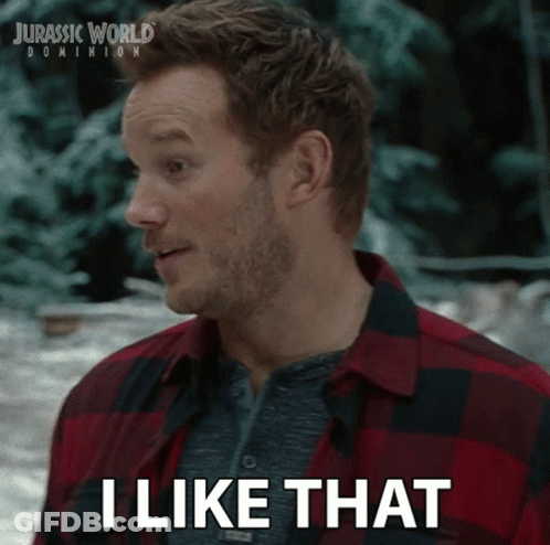 Man In Plaid Shirt Says I Like That GIF