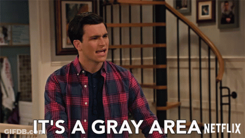 Man In Plaid Shirt Says It's A Gray Area On Netflix GIF
