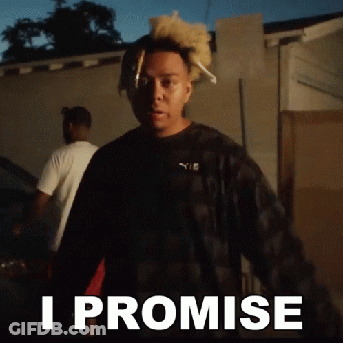 Man In Plaid Shirt Standing Before Sign Saying I Promise GIF