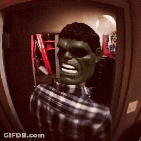 Man In Plaid Shirt Wearing Hulk Mask And Sunglasses GIF