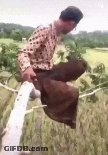 Man In Plaid Shirt With Rope Around Waist GIF