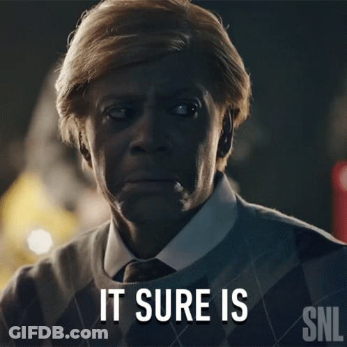 Man In Plaid Sweater And Tie Says It Sure Is GIF