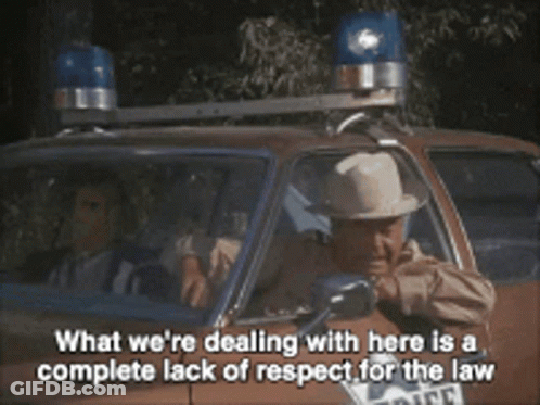 Man In Police Car What We're Dealing With GIF
