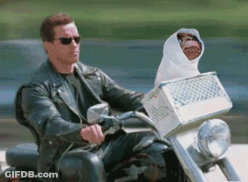 Man In Police Uniform GIF