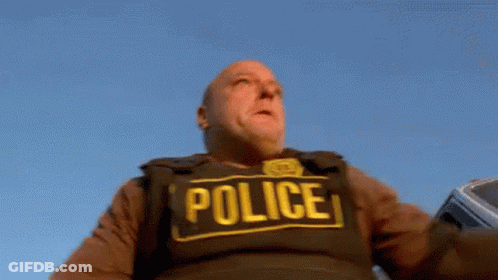 Man In Police Vest Holding Gun GIF