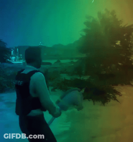 Man In Police Vest GIF