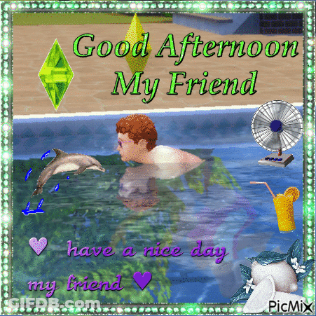 Man In Pool With Dolphin Says Good Afternoon My Friend GIF