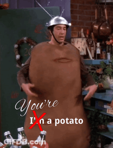 Man In Potato Costume Saying You're I'm A Potato GIF