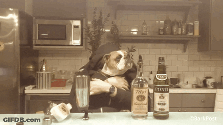 Man In Pug Face As Bartender GIF